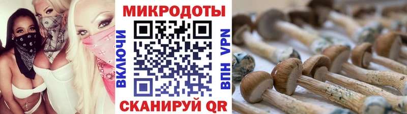 Галлюциногенные грибы прущие грибы  Ельня 
