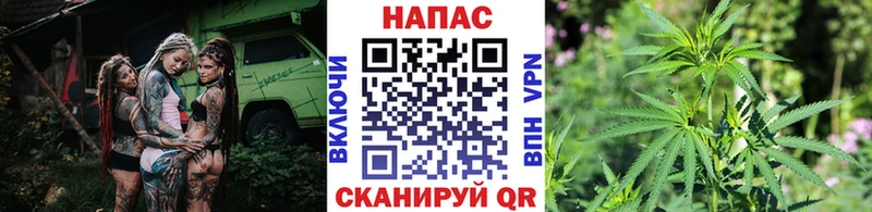 Шишки марихуана White Widow  hydra сайт  Ельня  купить наркотики цена 